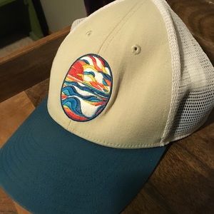 Patagonia trucker hat